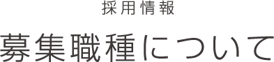 募集職種について